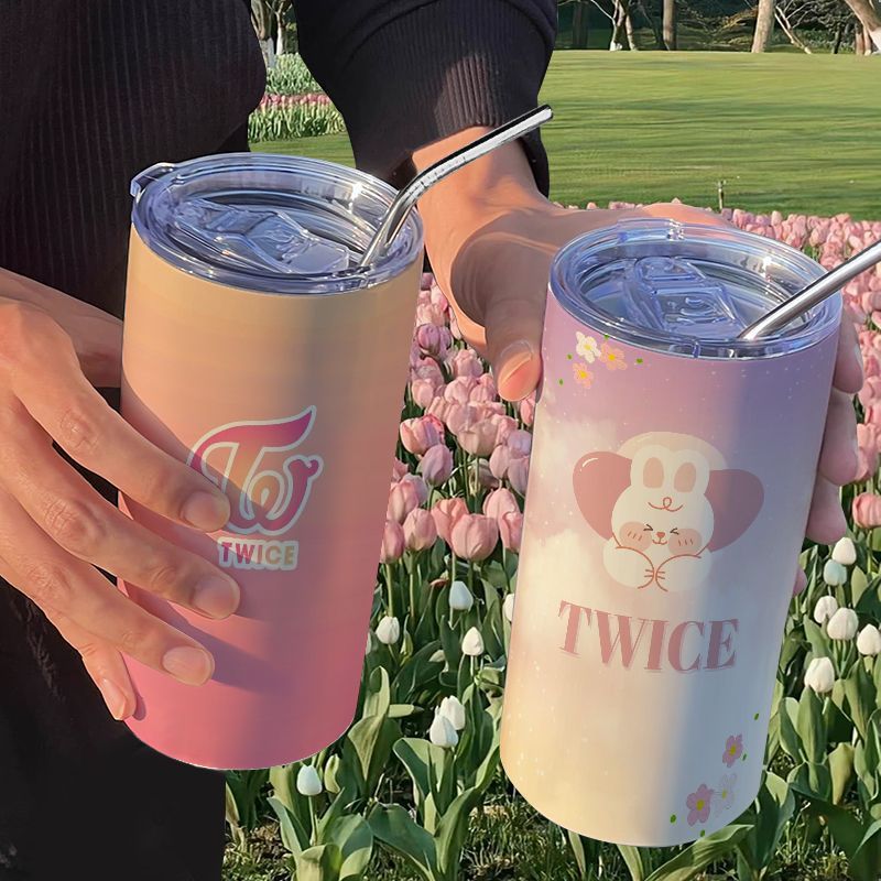 TWICE Portable Stainless Steel - Stainless Steel Straw 评论和价格