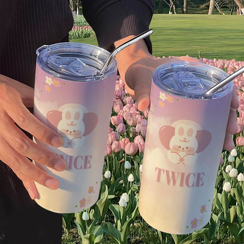 TWICE Portable Stainless Steel - Stainless Steel Straw 评论和价格