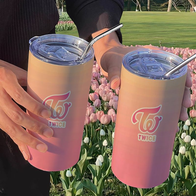 TWICE Portable Stainless Steel - Stainless Steel Straw 评论和价格